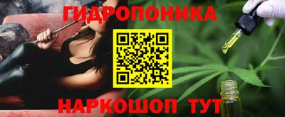 скорость Жуковский