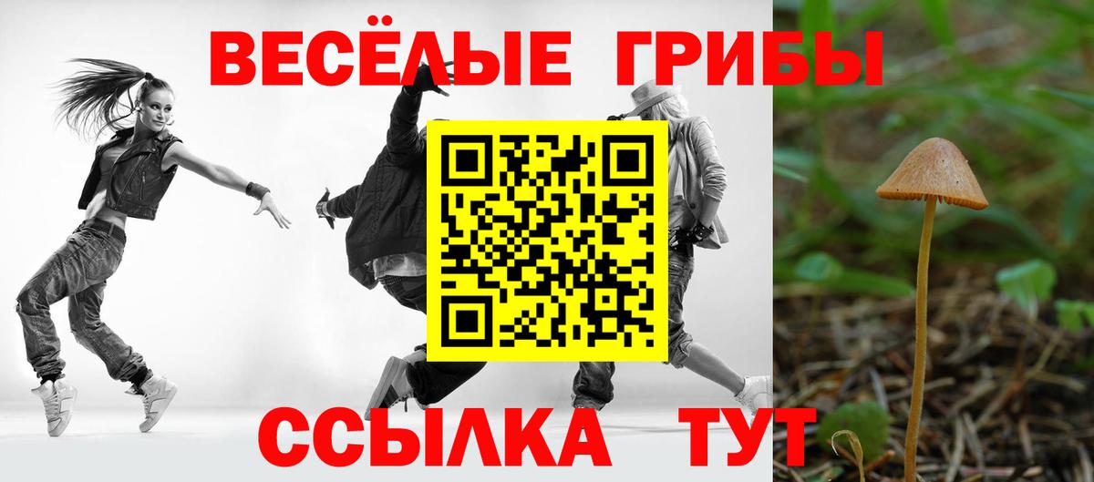 Псилоцибиновые грибы GOLDEN TEACHER Лыткарино